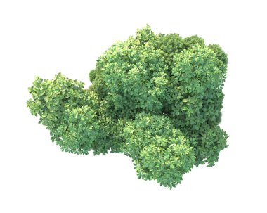 Beyaz arka planda yeşil arazi izole edilmiş. 3d görüntüleme - illüstrasyon