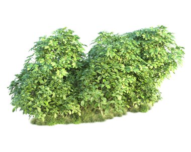 Beyaz arka planda yeşil arazi izole edilmiş. 3d görüntüleme - illüstrasyon