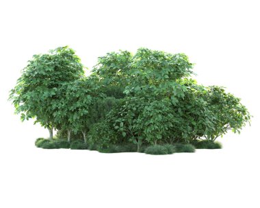 Beyaz arka planda yeşil arazi izole edilmiş. 3d görüntüleme - illüstrasyon