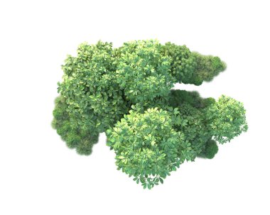 Beyaz arka planda yeşil arazi izole edilmiş. 3d görüntüleme - illüstrasyon