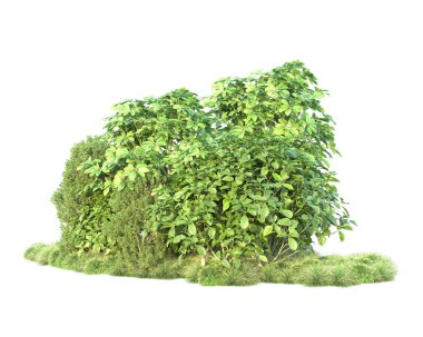 Beyaz arka planda yeşil arazi izole edilmiş. 3d görüntüleme - illüstrasyon