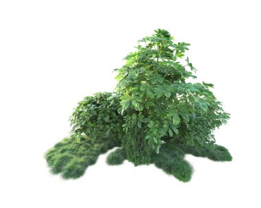 Beyaz arka planda yeşil arazi izole edilmiş. 3d görüntüleme - illüstrasyon