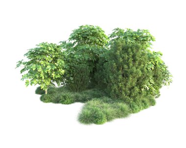 Beyaz arka planda yeşil arazi izole edilmiş. 3d görüntüleme - illüstrasyon