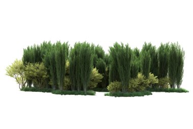 Beyaz arka planda yeşil arazi izole edilmiş. 3d görüntüleme - illüstrasyon