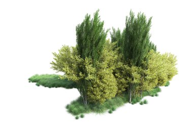 Beyaz arka planda yeşil arazi izole edilmiş. 3d görüntüleme - illüstrasyon