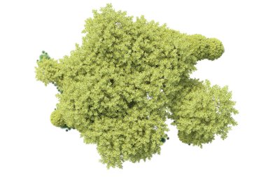 Beyaz arka planda yeşil arazi izole edilmiş. 3d görüntüleme - illüstrasyon