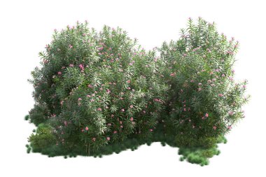 Beyaz arka planda yeşil arazi izole edilmiş. 3d görüntüleme - illüstrasyon