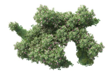 Beyaz arka planda yeşil arazi izole edilmiş. 3d görüntüleme - illüstrasyon