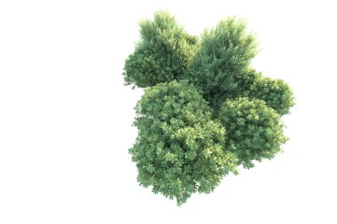 Beyaz arka planda yeşil arazi izole edilmiş. 3d görüntüleme - illüstrasyon