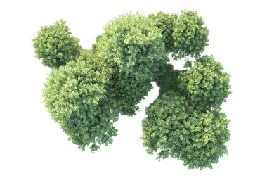 Beyaz arka planda yeşil arazi izole edilmiş. 3d görüntüleme - illüstrasyon