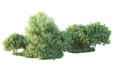 Beyaz arka planda yeşil arazi izole edilmiş. 3d görüntüleme - illüstrasyon