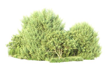 Beyaz arka planda yeşil arazi izole edilmiş. 3d görüntüleme - illüstrasyon