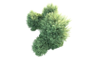 Beyaz arka planda yeşil arazi izole edilmiş. 3d görüntüleme - illüstrasyon