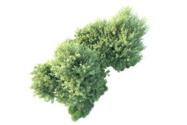 Beyaz arka planda yeşil arazi izole edilmiş. 3d görüntüleme - illüstrasyon