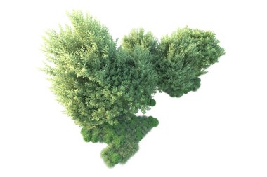 Beyaz arka planda yeşil arazi izole edilmiş. 3d görüntüleme - illüstrasyon