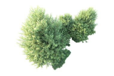 Beyaz arka planda yeşil arazi izole edilmiş. 3d görüntüleme - illüstrasyon