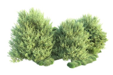 Beyaz arka planda yeşil arazi izole edilmiş. 3d görüntüleme - illüstrasyon