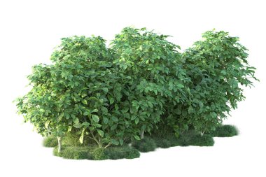 Beyaz arka planda yeşil arazi izole edilmiş. 3d görüntüleme - illüstrasyon