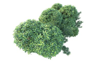 Beyaz arka planda yeşil arazi izole edilmiş. 3d görüntüleme - illüstrasyon