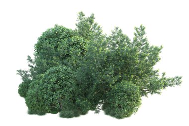 Beyaz arka planda yeşil arazi izole edilmiş. 3d görüntüleme - illüstrasyon