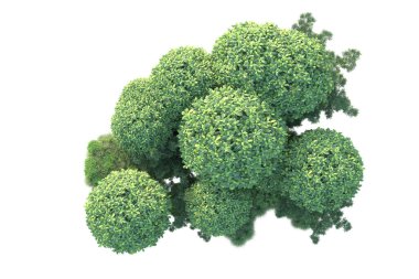 Beyaz arka planda yeşil arazi izole edilmiş. 3d görüntüleme - illüstrasyon