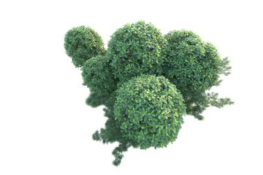 Beyaz arka planda yeşil arazi izole edilmiş. 3d görüntüleme - illüstrasyon