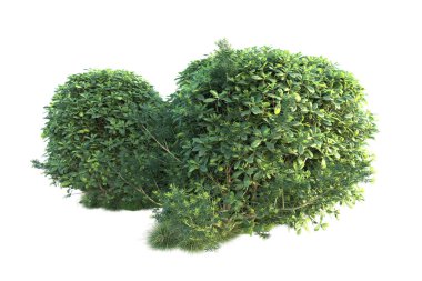 Beyaz arka planda yeşil arazi izole edilmiş. 3d görüntüleme - illüstrasyon