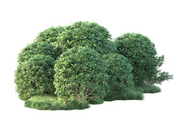 Beyaz arka planda yeşil arazi izole edilmiş. 3d görüntüleme - illüstrasyon