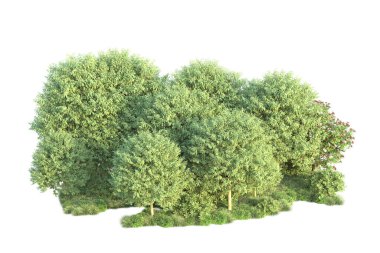 Beyaz arka planda yeşil arazi izole edilmiş. 3d görüntüleme - illüstrasyon