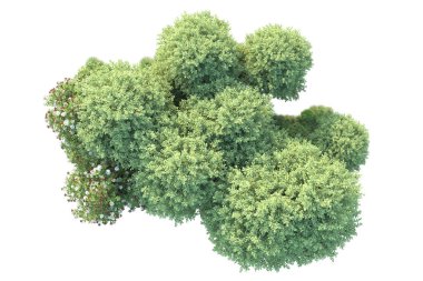 Beyaz arka planda yeşil arazi izole edilmiş. 3d görüntüleme - illüstrasyon