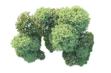 Beyaz arka planda yeşil arazi izole edilmiş. 3d görüntüleme - illüstrasyon