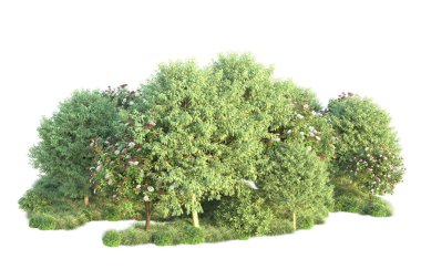 Beyaz arka planda yeşil arazi izole edilmiş. 3d görüntüleme - illüstrasyon