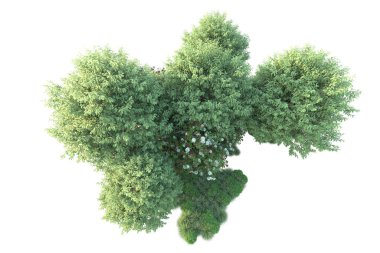 Beyaz arka planda yeşil arazi izole edilmiş. 3d görüntüleme - illüstrasyon