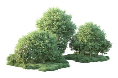 Beyaz arka planda yeşil arazi izole edilmiş. 3d görüntüleme - illüstrasyon