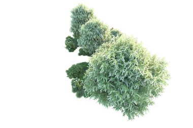 Beyaz arka planda yeşil arazi izole edilmiş. 3d görüntüleme - illüstrasyon