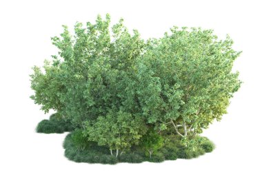 Beyaz arka planda yeşil arazi izole edilmiş. 3d görüntüleme - illüstrasyon