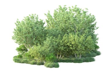 Beyaz arka planda yeşil arazi izole edilmiş. 3d görüntüleme - illüstrasyon