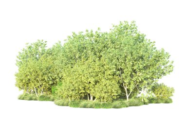 Beyaz arka planda yeşil arazi izole edilmiş. 3d görüntüleme - illüstrasyon