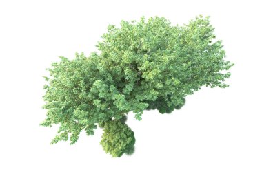 Beyaz arka planda yeşil arazi izole edilmiş. 3d görüntüleme - illüstrasyon