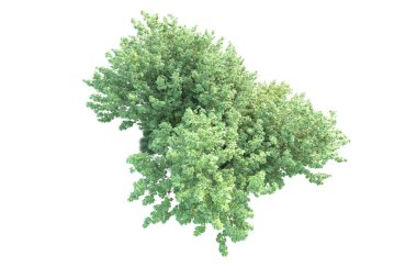 Beyaz arka planda yeşil arazi izole edilmiş. 3d görüntüleme - illüstrasyon