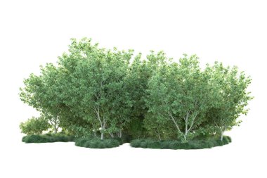 Beyaz arka planda yeşil arazi izole edilmiş. 3d görüntüleme - illüstrasyon