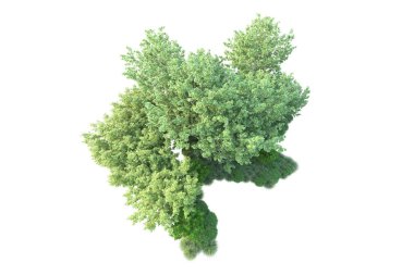 Beyaz arka planda yeşil arazi izole edilmiş. 3d görüntüleme - illüstrasyon