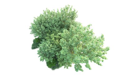 Beyaz arka planda yeşil arazi izole edilmiş. 3d görüntüleme - illüstrasyon