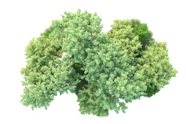 Beyaz arka planda yeşil arazi izole edilmiş. 3d görüntüleme - illüstrasyon