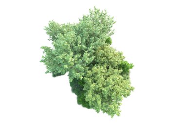 Beyaz arka planda yeşil arazi izole edilmiş. 3d görüntüleme - illüstrasyon