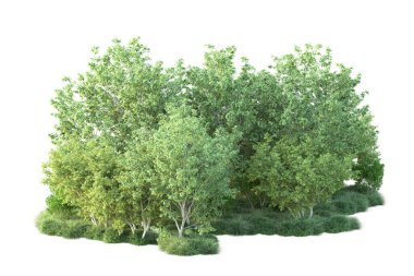 Beyaz arka planda yeşil arazi izole edilmiş. 3d görüntüleme - illüstrasyon