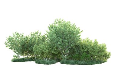 Beyaz arka planda yeşil arazi izole edilmiş. 3d görüntüleme - illüstrasyon