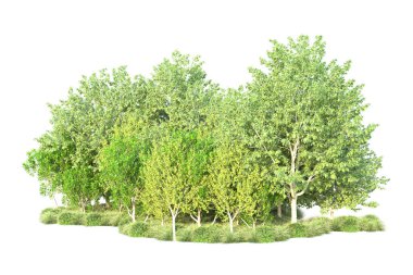 Beyaz arka planda yeşil arazi izole edilmiş. 3d görüntüleme - illüstrasyon