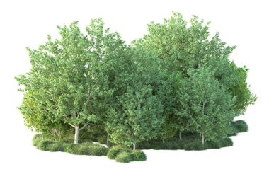 Beyaz arka planda yeşil arazi izole edilmiş. 3d görüntüleme - illüstrasyon