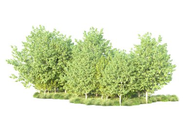 Beyaz arka planda yeşil arazi izole edilmiş. 3d görüntüleme - illüstrasyon